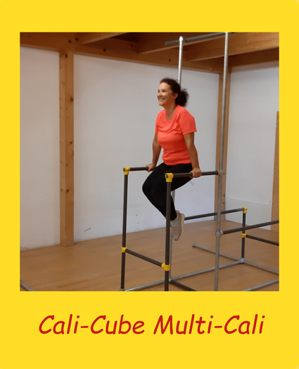 Cali-Cube-Multi-Cali-Home-Gym