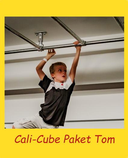 Cali-Cube-Paket-Tom-Sprossenwand-Monkey-Bar