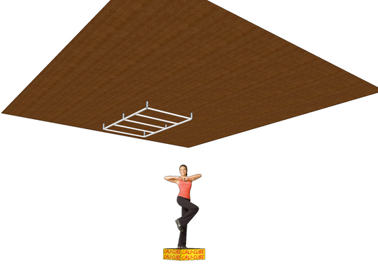 CALI-CUBE Sportgerät Sprossenwand / Monkeybar Paket "Tom"